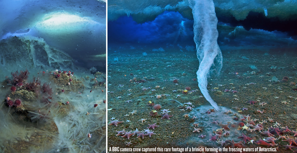BBC Captures Video In Antarctica Of “Icy Finger Of Death” Forming