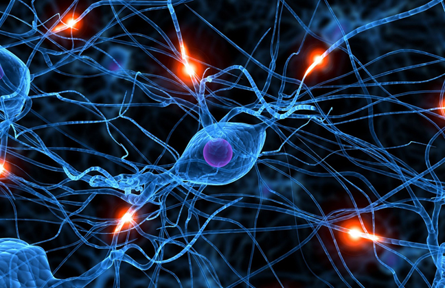 Dopamine Dopamine The Pleasure Principle: Neuroscience Revealing How Our Brains Ancient Wiring For Pleasure Is Deadly
