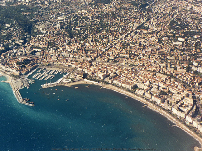 CannesTHR1
