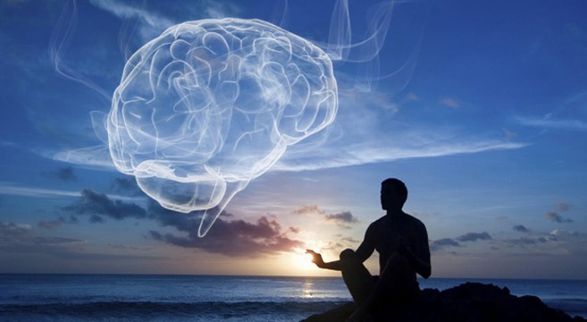 BrainHarvardMeditation