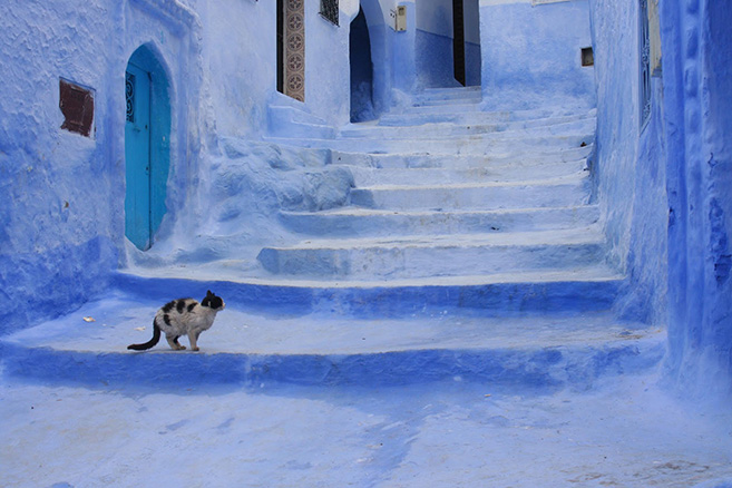 The Blue City of Chefchaouen in Morocco