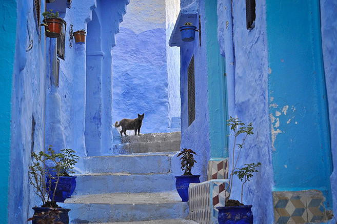 The Blue City of Chefchaouen in Morocco