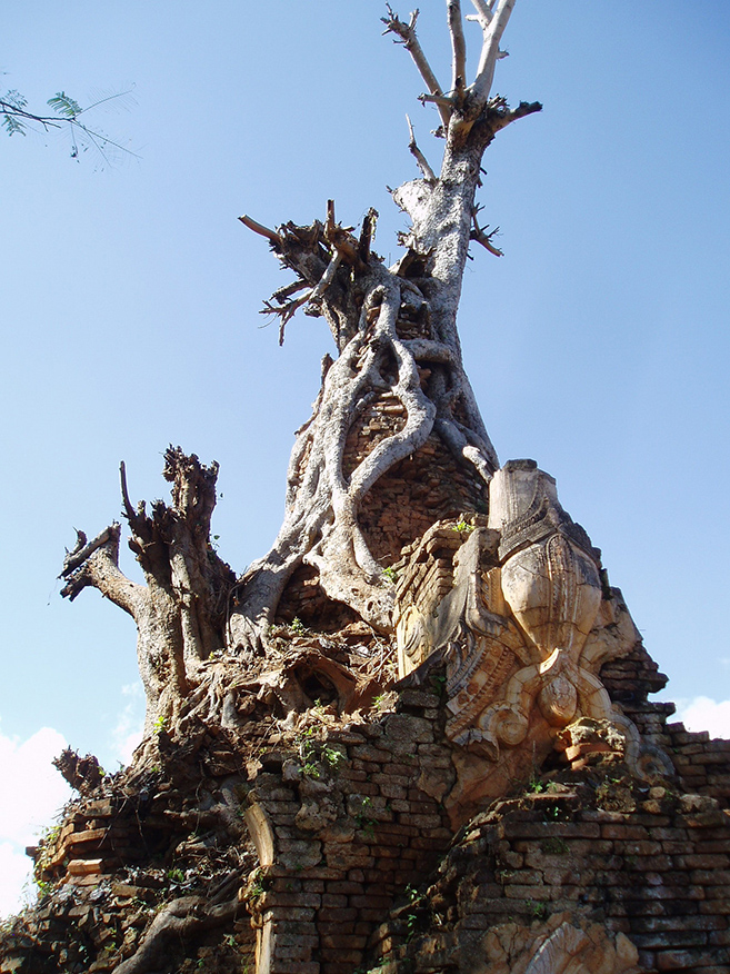 Myanmar's Abandoned Pagoda Forest Of Nyaung Ohak and Shwe Inn Thein