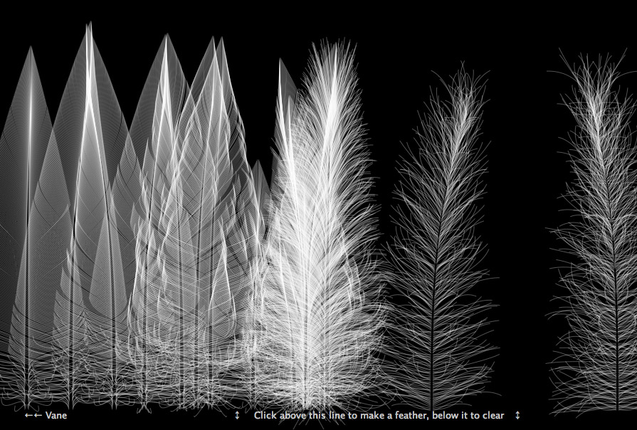 The Online Feather Generator Design Your Own Feathers From Flighters