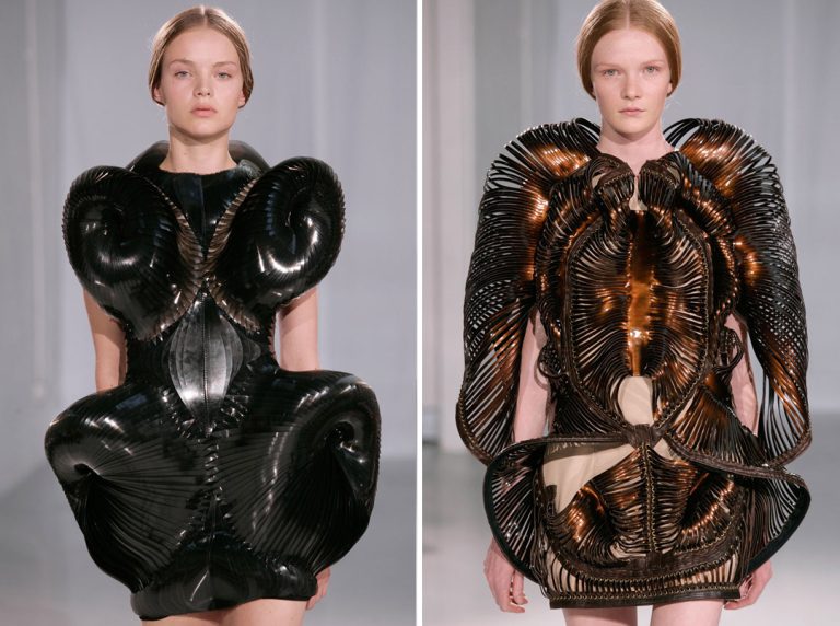 Elite Fashion Insiders Unanimously Agree Iris Van Herpen Could Be Our ...