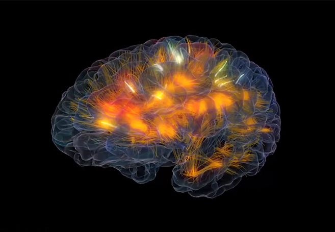 Major Breakthrough In Cure For Alcoholism &amp; Addiction As