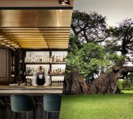 The Sunland Baobab Tree Pub in South Africa and ZONARS cafe in Athens Greece