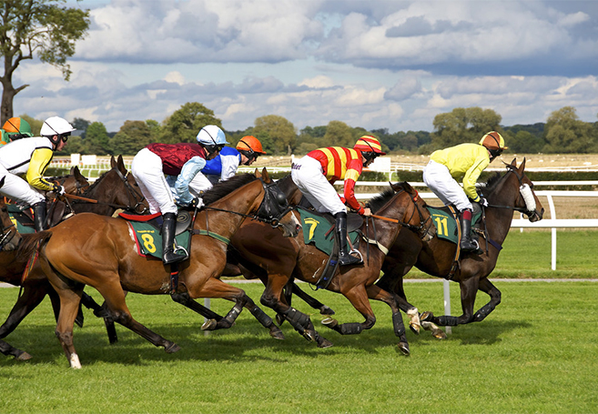 Horse racing paris 2018