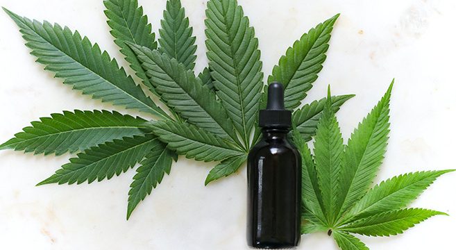 5 Best Carrier Oils for CBD Products: Which One to Pick?